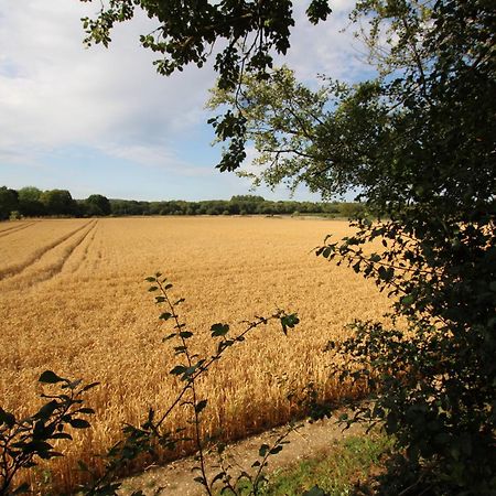 Cowslip Barn Annexe, Countryside Stay Near Τσίτσεστερ Εξωτερικό φωτογραφία
