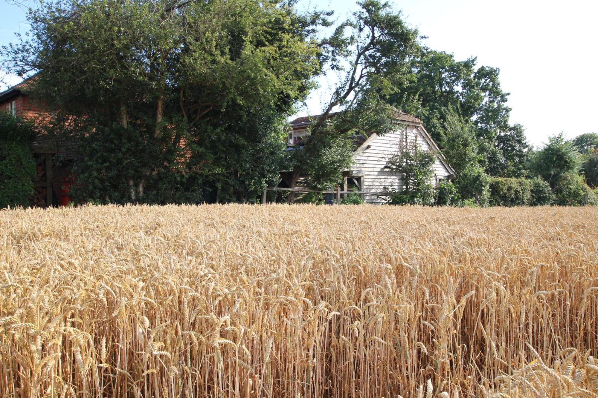 Cowslip Barn Annexe, Countryside Stay Near Τσίτσεστερ Εξωτερικό φωτογραφία